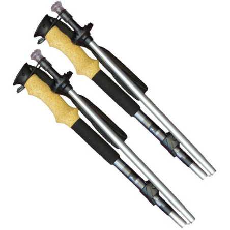 Gipron - Aiguille CAI, trekking pole