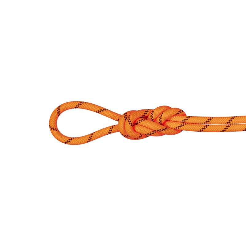 Mammut - 8,7 Alpine Sender Dry, triple certified rope